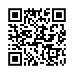 T38043-12-0 QRCode