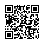 T38047-13-0 QRCode