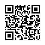 T38053-17-0 QRCode