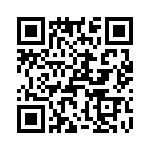 T38058-01-0 QRCode