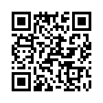 T38060-07-0 QRCode