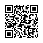 T38062-16-0 QRCode