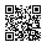 T38063-13-0 QRCode