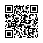 T38063-16-0 QRCode