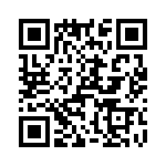 T38065-11-0 QRCode