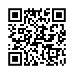 T38067-12-0 QRCode