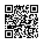 T38068-07-0 QRCode