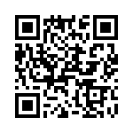 T38070-07-0 QRCode