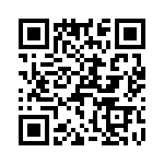 T38073-02-0 QRCode