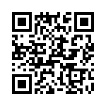 T38075-10-0 QRCode