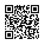 T38077-07-0 QRCode