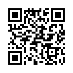 T38100-26-0 QRCode