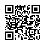 T38102-04-0 QRCode