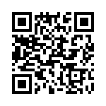 T38103-04-0 QRCode