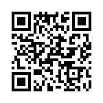 T38107-03-0 QRCode