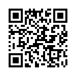 T38107-22-0 QRCode