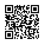 T38111-02-0 QRCode