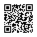 T38111-03-0 QRCode