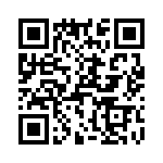 T38113-13-0 QRCode