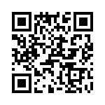 T38130-01-0 QRCode