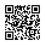 T38130-02-0 QRCode