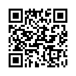 T38130-07-0 QRCode