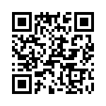 T38130-13-0 QRCode