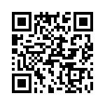 T38133-04-0 QRCode