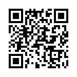 T38133-08-0 QRCode