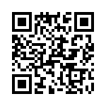 T38137-17-0 QRCode