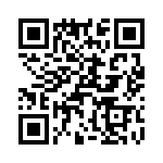 T38138-04-0 QRCode