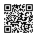 T38140-03-0 QRCode