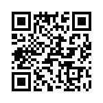 T38152-02-0 QRCode