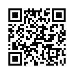 T38160-04-0 QRCode