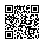 T38165-13-0 QRCode