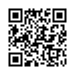 T38175-11-0 QRCode