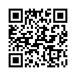 T38210-11-0 QRCode