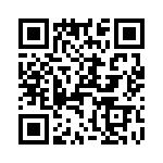 T38212-17-0 QRCode