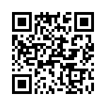 T38213-04-0 QRCode