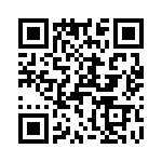 T38213-10-0 QRCode