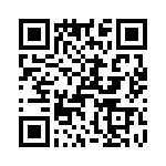 T38228-07-0 QRCode