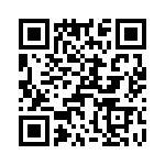 T38228-24-0 QRCode