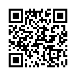 T38237-17-0 QRCode