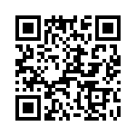 T38262-13-0 QRCode