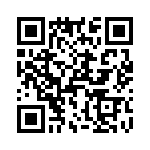 T38311-03-0 QRCode