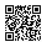 T38313-16-0 QRCode