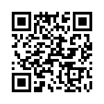 T38315-24-0 QRCode