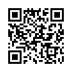 T38317-02-0 QRCode