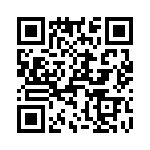 T38317-10-0 QRCode