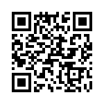 T38328-04-0 QRCode